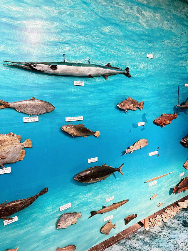 Discover Borneo’s Wildlife at the Kuching Natural History Museum 