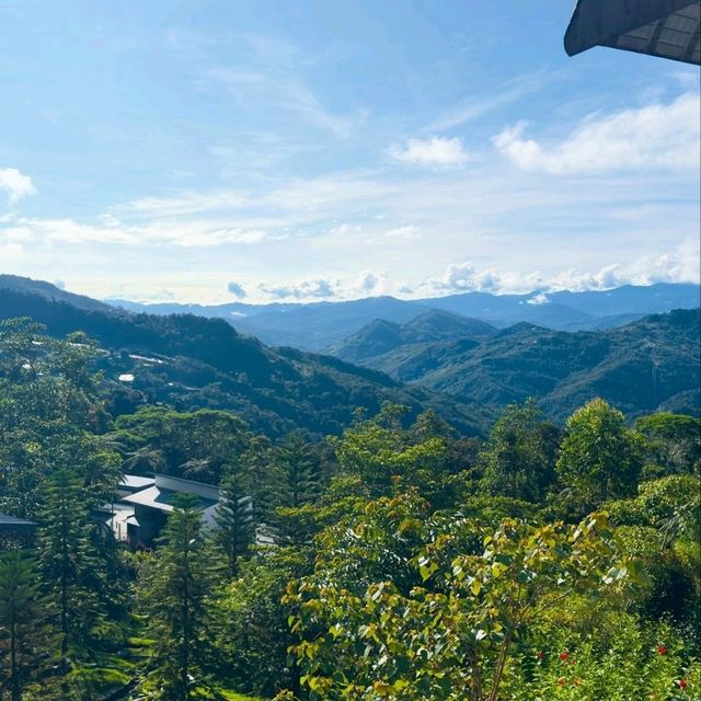 Mountain Air & Chill Feels: Spring Road Trip