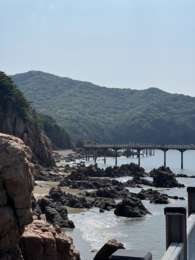 🌊 “바다와 숲, 우리만의 조용한 하루 – 무의도 하나개 해수욕장 & 바다누리길 데이트”