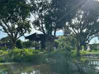 Newly renovated Chinese Garden. 