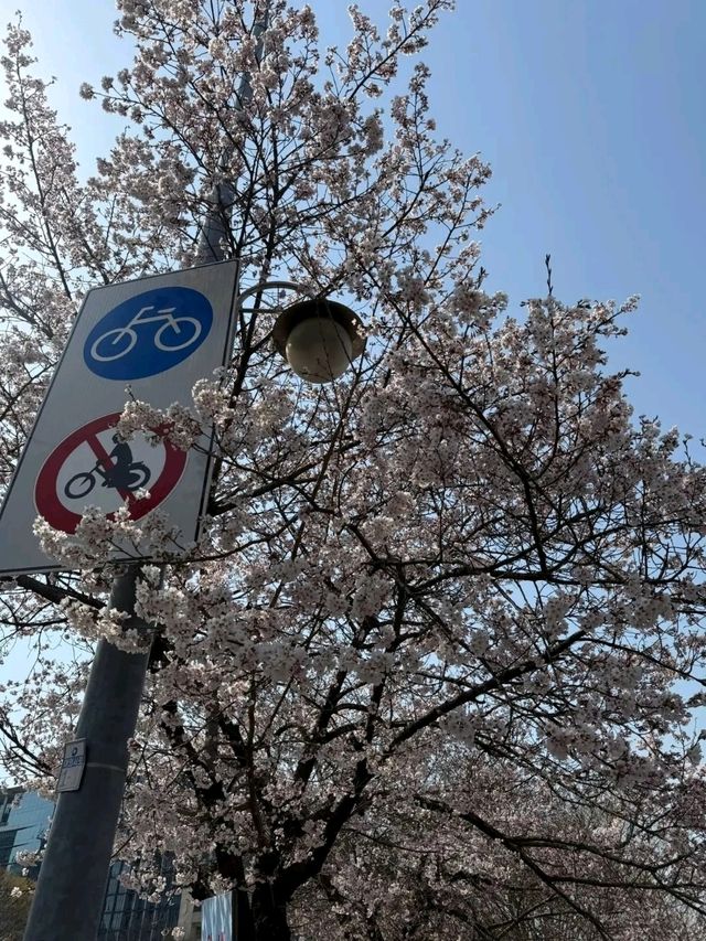 Seongnam: A Harmonious Blend of Tradition and Modernity