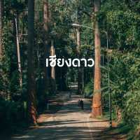 7 ที่เที่ยว เชียงใหม่ ต้อนรับหน้าฝนนี้ 🫶🏻🌧️