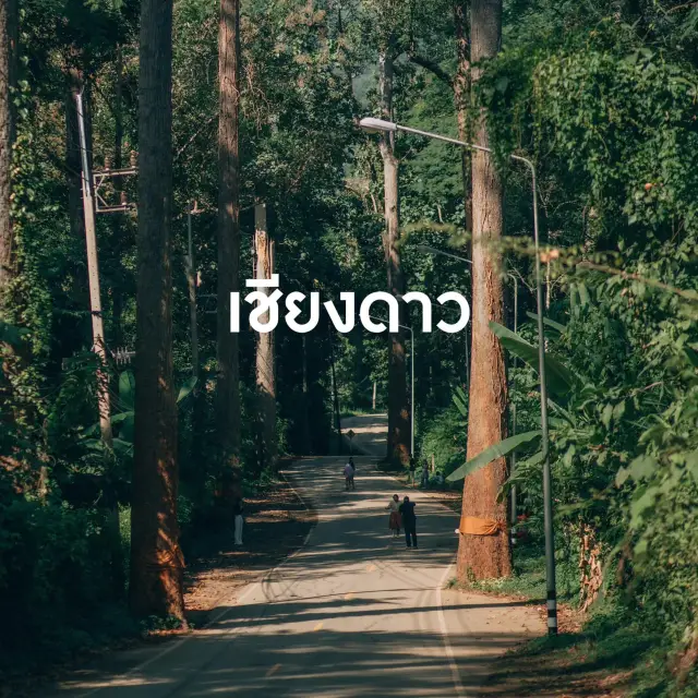 7 ที่เที่ยว เชียงใหม่ ต้อนรับหน้าฝนนี้ 🫶🏻🌧️