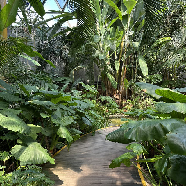 【ソウル】🇰🇷 ソウル植物園