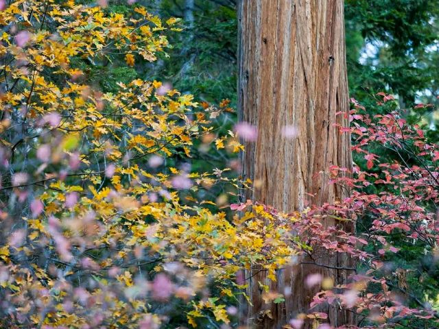Deep into the Wilderness: Hiking Kings Canyon’s Trails