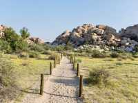 Hiking Among the Joshua Trees