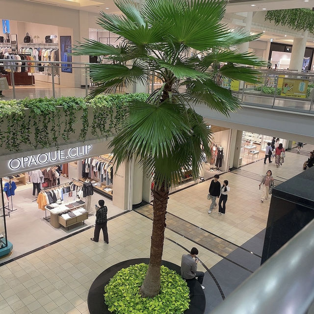 【千葉/船橋🇯🇵】ライブ前にも買い物🛍 ららぽーとTOKYO-BAY
