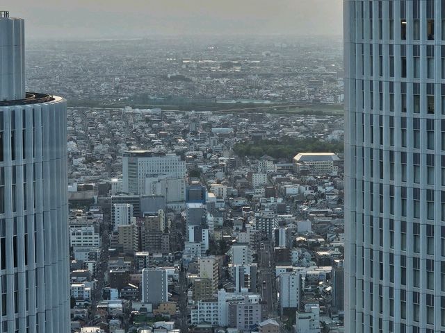 전역 후 혼자서 감미로운 일본 여행 🇯🇵