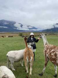 Trip New Zealand