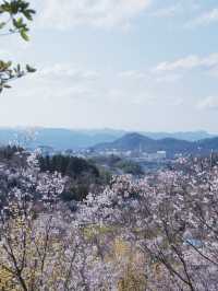 東海道新幹線：大阪去福島只需四小時