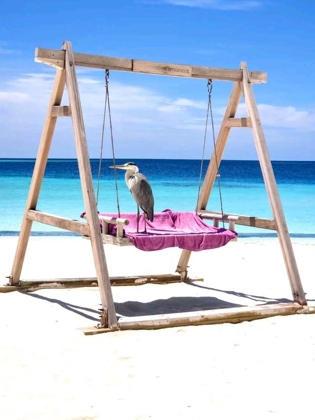 Constance Moofushi Maldives