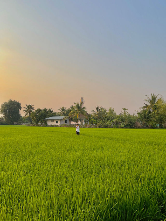 บ้านพักกลางทุ่งนาสีเขียวขจี ใกล้เมืองเชียงใหม่ 💚🌾