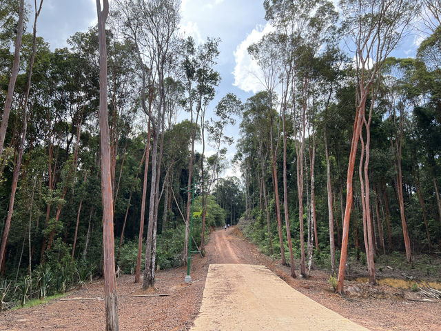 Panbil Nature Reserve: A Thrilling Jungle Workout with Stunning Rewards