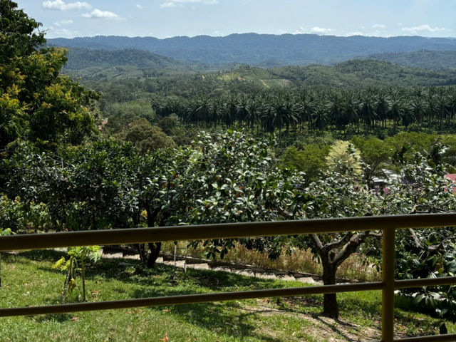 Weekend Getaway Near KL 🌿🦌 | Hill Top Eco Deer Ranch