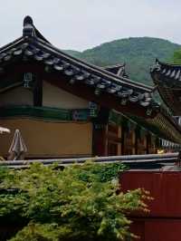 은해사, 그늘 아래 걷는 즐거움