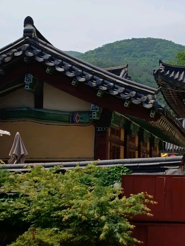 은해사, 그늘 아래 걷는 즐거움