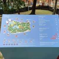 Springtime Serenity: A Stroll through KLCC Park
