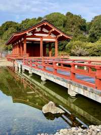 A Relaxing Day in Nara – Where History Meets Art