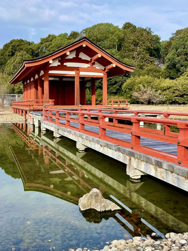 A Relaxing Day in Nara – Where History Meets Art