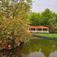 Tsing Yi Park