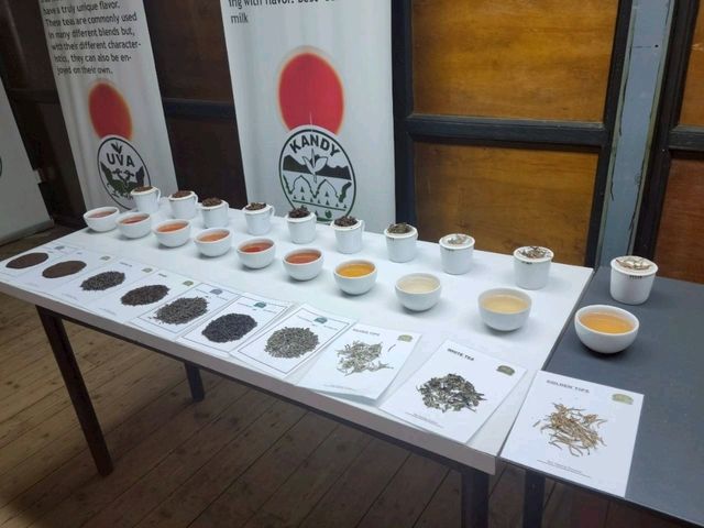 【キャンディ】cylon tea museum