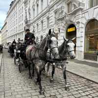 🏰 *Hofburg Palace: The Beating Heart of Habsburg Vienna* 👑✨
