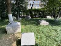 南京 明故宮遺址公園 ✴️  
