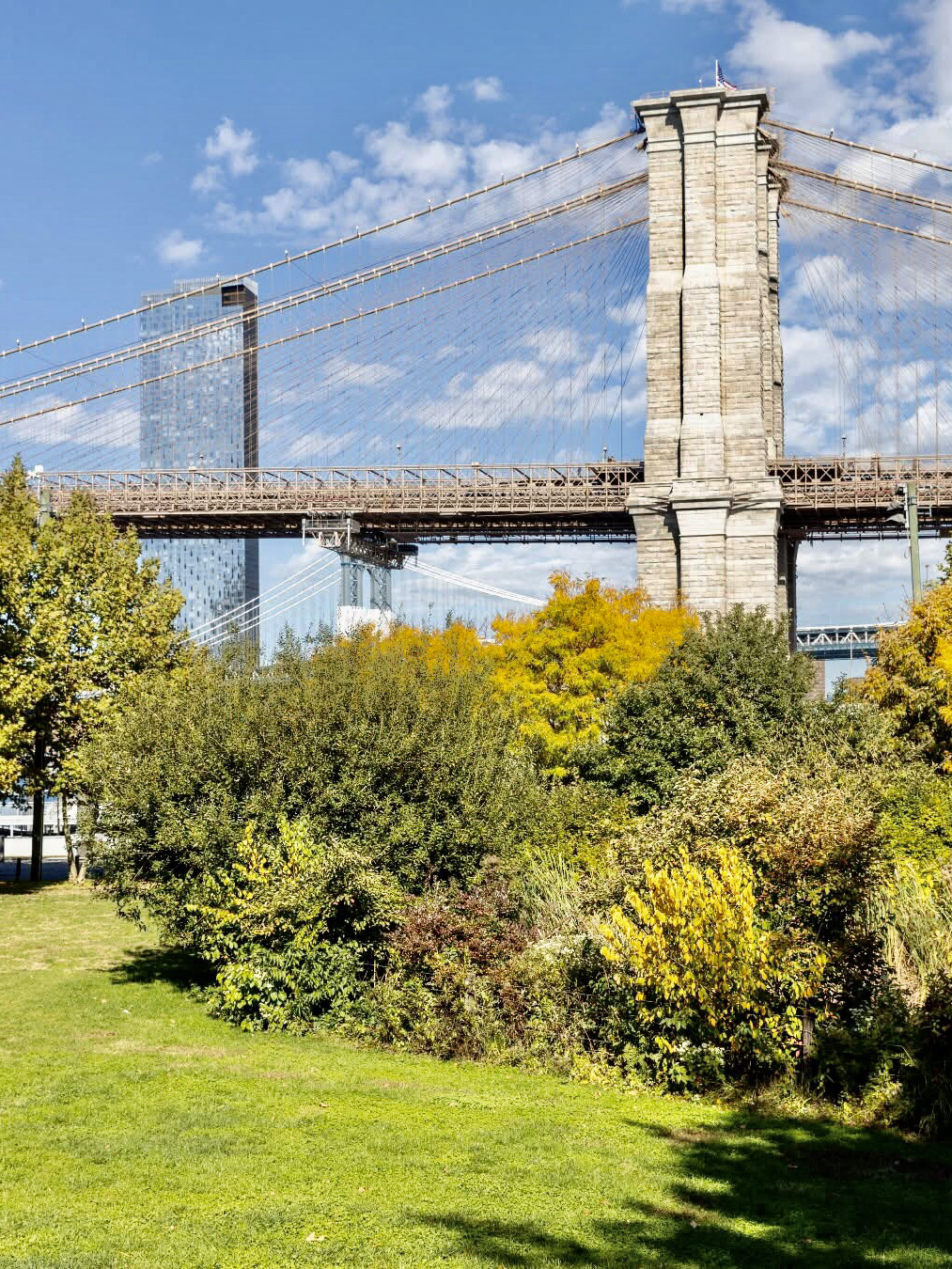 Brooklyn Bridge Park Tickets [2025] Promos, Prices, Reviews