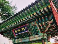 🌿【草藥與人蔘的故鄉】大邱藥令市場：一段與韓醫相遇的旅程