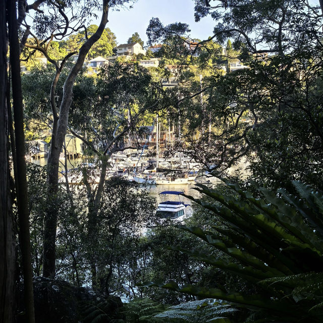Sydney - Hubla Stairs Hike 🚶‍♂️🌊