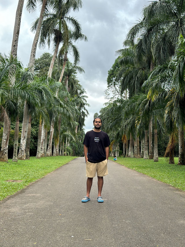 Budget-Friendly Sri Lanka Itinerary (2 Weeks)