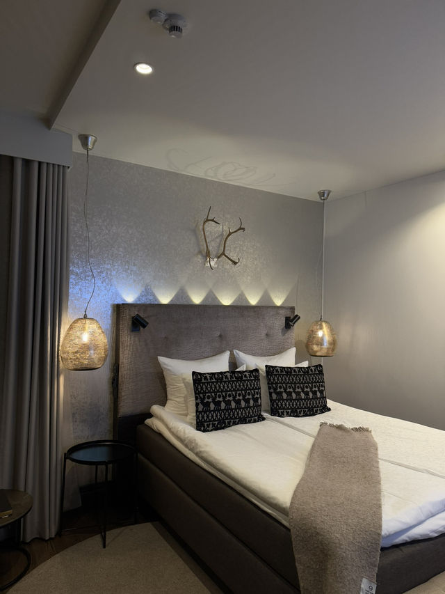 【フィンランド🇫🇮】部屋にサウナ！ヘルシンキおすすめホテル🏨