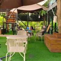 💥 The Nature Cafe