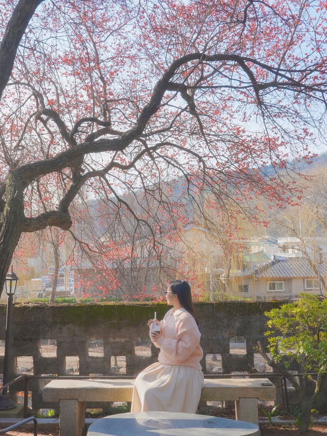 봄이 오는 소리가 들리는 순천 사운즈 옥천🌸❤️