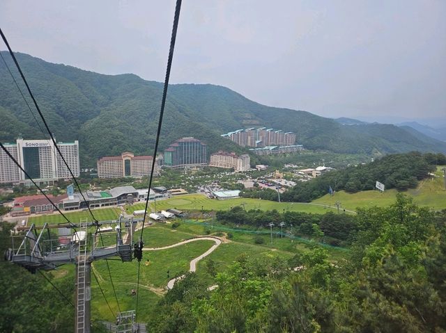 소노펠리체 비발디파크 강추!