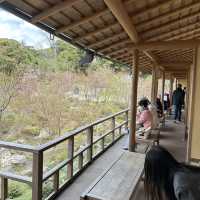 Fushimi Inari Taisha