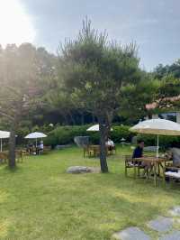 🌲 숲속 감성 그대로, 고양 신상카페 ‘로더우드 L’odeur Wood’