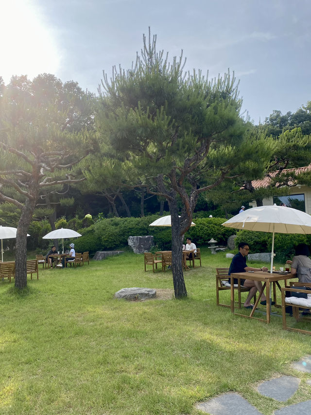 🌲 숲속 감성 그대로, 고양 신상카페 ‘로더우드 L’odeur Wood’