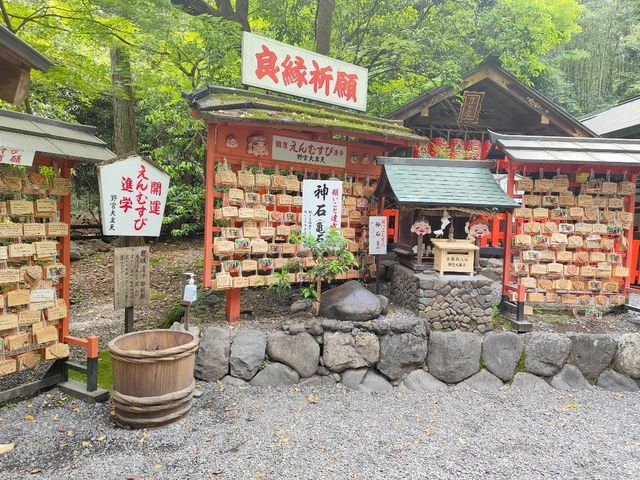 走吧~一個人的旅行