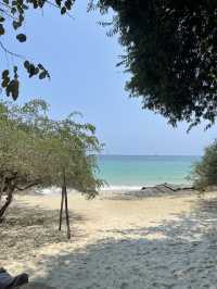 Sirin villa samed🏝️