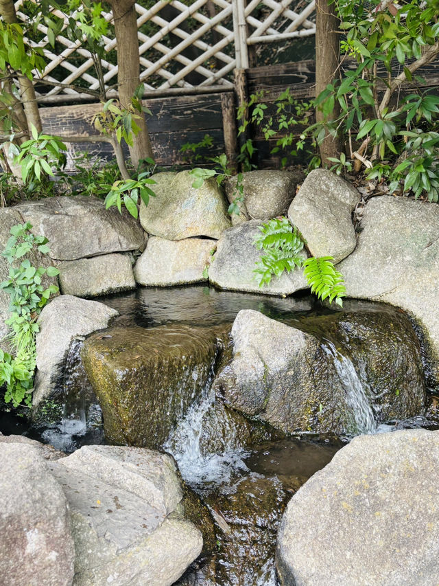 東京🇯🇵六郷用水の跡には錦鯉と緑がいっぱい🌿⟡.·お散歩に最適✌️ˊ˗
