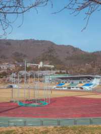 러너들에게 동화같은 벚꽃 트랙 명소“우슬체육관”
