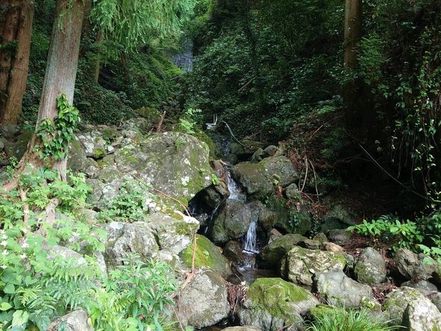 白藤の滝