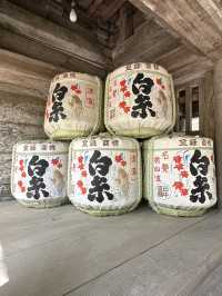 大大大推——福岡糸島一日遊 