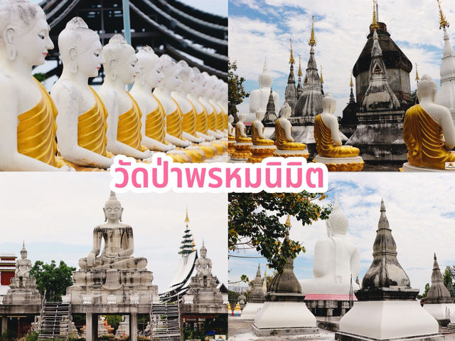 วัดป่าพรหมนิมิต