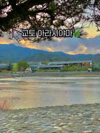 교토 아라시야마, 자연과 전통의 완벽한 조화 🍃