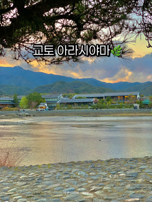 교토 아라시야마, 자연과 전통의 완벽한 조화 🍃