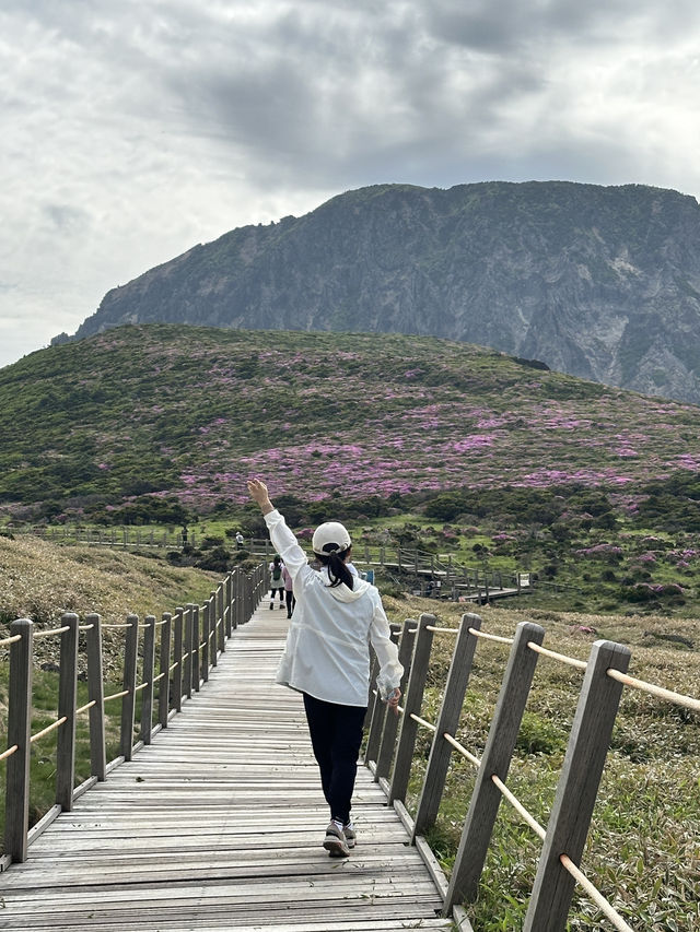 6월 한라산에 올라야하는 이유!