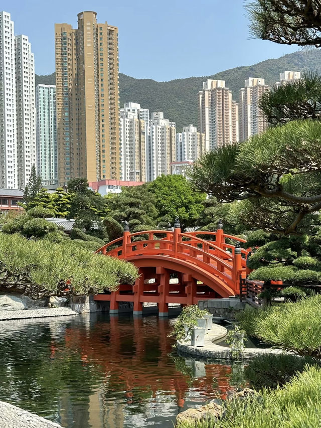 A Tranquil and Budget-Friendly Oasis – Nan Lian Garden, Hong Kong
