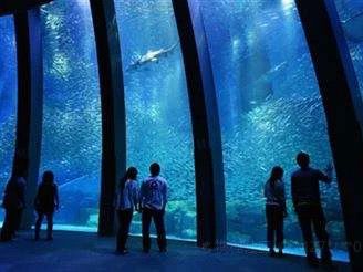 橫濱🇯🇵 八景島水族館